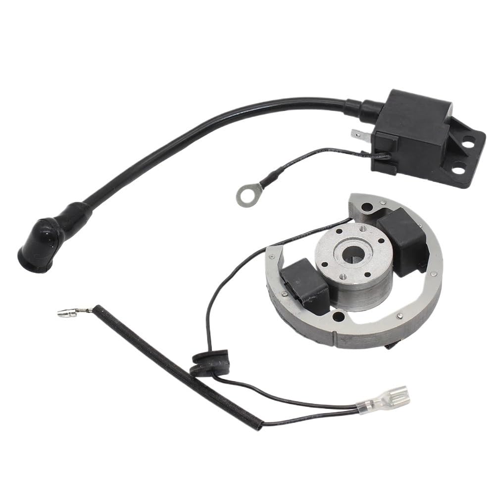 Motorrad Stator Stator Rotor Zündspule Kit Magneto Zündspule Stator Schwungrad Für SX Für Adventure 50 2003 2004 2005 2006 2007 2008 2009 2010 2011 Statorspule von hgudyr