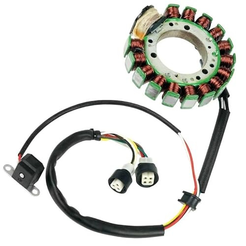 Motorrad Stator Stator Spule Für Y&AMAHA Warrior 350 YFM350 X Magneto Starter Relais Zündspule 3HN-85510-10-00 21-904, AYA4032 Statorspule von hgudyr