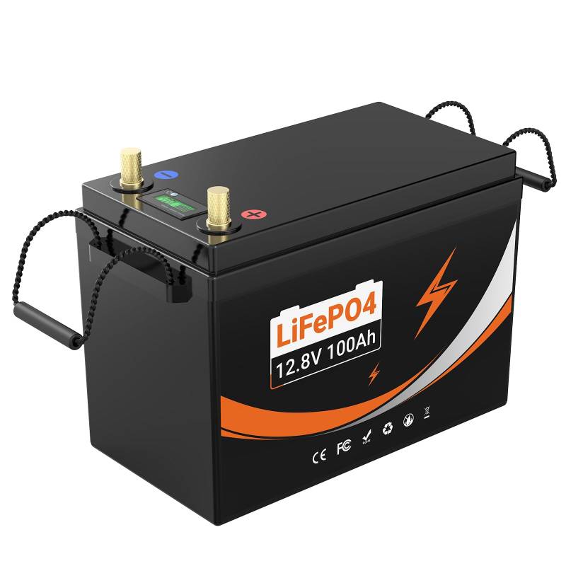 12V 100Ah LifePo4 Akku mit 100A BMS Schutz Max. 2560W mit Untertemperaturschutz von hxrfoak