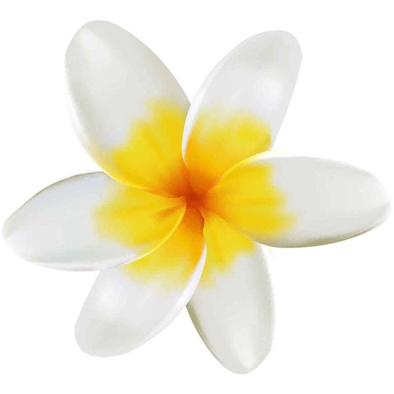 kleberio Selbstklebender Aufkleber Sticker Autoaufkleber wetterfest Blumen Mülltonne Blumenwiese Dekoration Fensterbild Fliesenaufkleber 10 x 11 cm - Gelbe Frangipani - von kleberio