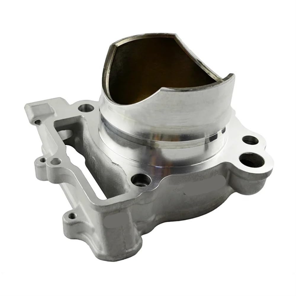 Kompatibler Zylinderblock und Kolbenringe für 250 cc KXF250 KX250F 2009–2016 mit Ölrohrfilter und Kraftstofffilter 77 mm(Cylinder) von mGFWZK