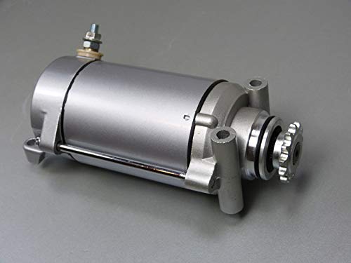 Anlasser Ersatzteil für/kompatibel mit SMC Barossa 250/300 Starter von motorsportgoetz