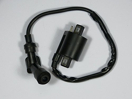 Zündspule Ersatzteil für/kompatibel mit Raptor YFM 250/350 R + Zündkerzenstecker von motorsportgoetz