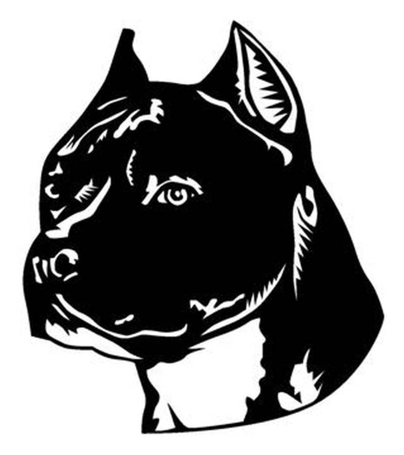 Hundeaufkleber American Staffordshire Terrier Kopf ca.20cm Aufkleber für Auto,Lack,Scheibe&Wand, Wandtattoo,Autoaufkleber Decal Sticker Profi-Qualität von myrockshirt