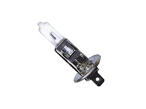 myshopx Glühbirnen H1 24V 70W P14,5s Autobirne Glühlampe 2 Stück von myshopx