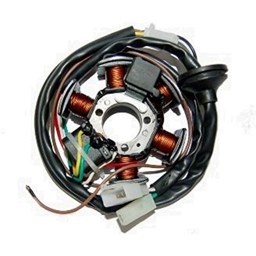 one by Camamoto cod 77199641 6-poliger Stator mit Schwungrad-Magnetplatten kompatibel mit Malaguti f10 50cc 2t/f12 Phantom 50cc 2t/f15 Feuerfuchs 50cc 2t von one