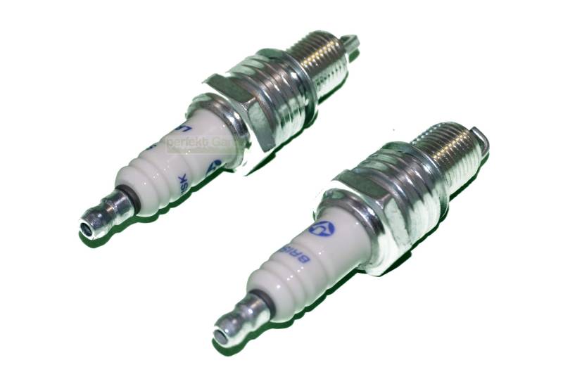 2 X Zündkerze kompatibel mit Einhell GC-PM 52/2 S HW/GC-PM 56/2 S HW Rasenmäher von perfektGarten