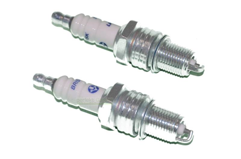 2 X Zündkerze kompatibel mit Honda GX110 GX120 GX140 GX160 GX200 GX240 GX270 GX340 GX390 GX620 GX25 GX31 GX22 GX35 GX100 G100 GXH50 GXV120 GXV140 GXV160 von perfektGarten