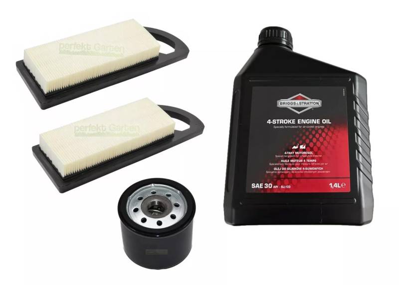 Ölfilter + Luftfilter + Öl SAE30 kompatibel mit Briggs & Stratton B&S 492932 695547 100006E von perfektGarten