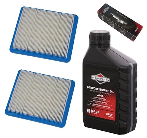 Zündkerze + Filter + Rasenmäheröl kompatibel mit Briggs & Stratton B&S Quantum 625 650 675 von perfektGarten