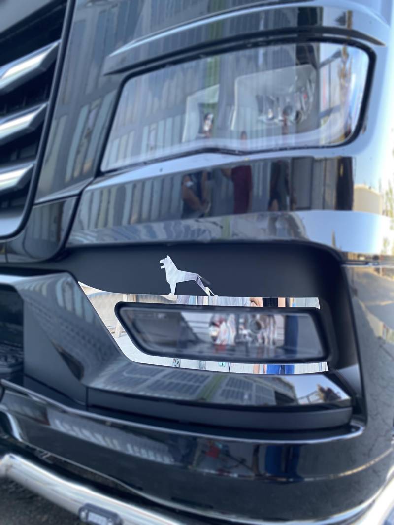 Peritus 2-Teilig Edelstahl Nebelscheinwerfer Rahmen, Schwarz, Halogen, Kunststoff, Lkw-Nebelscheinwerfer-Rahmen, Fog Light Frame, Nebelscheinwerferrahmen, passend MAN TGX 2021, LKW von peritus