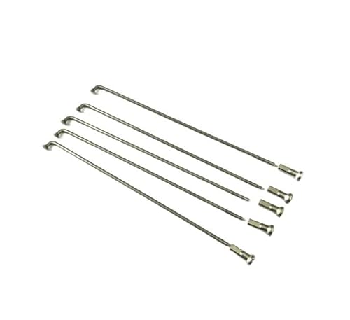 Set mit 5 Speichen, Speichen, 5 Nippel, 160 x 3 mm, für Hinterrad, Moped, Ciao C7 Px Pxv P Pv Sc R usw von seba.ricambi