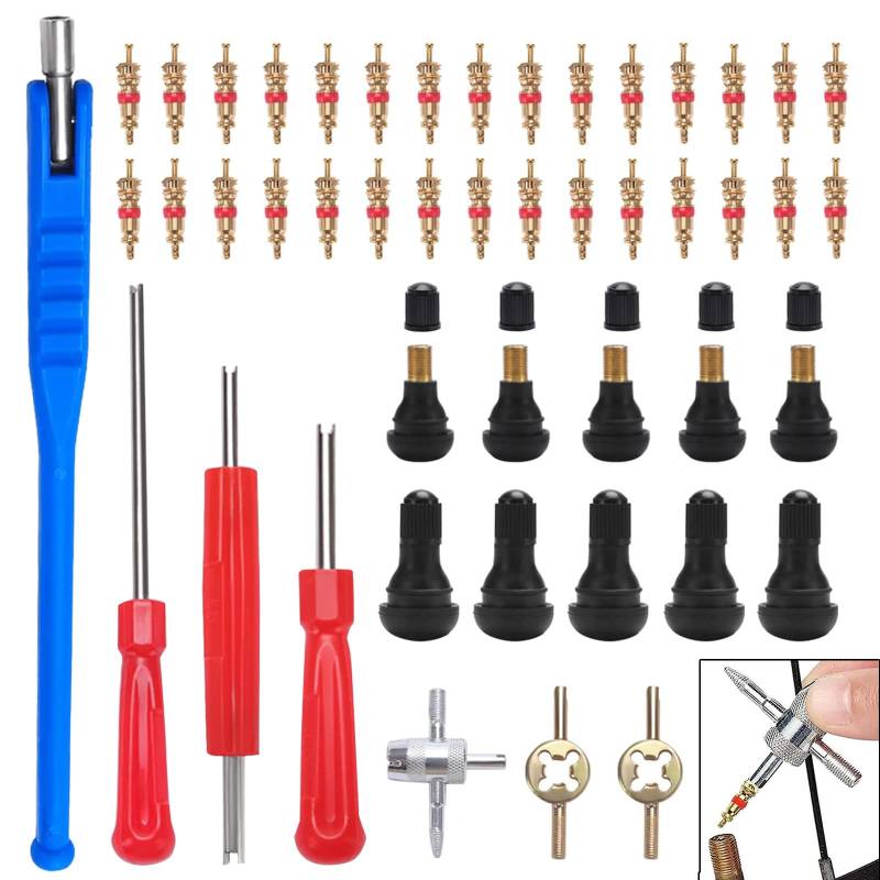 Reifenventilentferner, 47 Stücke Ventilschrauber Tyre Valve Core Tool Set, autoventil Adapter, mit TR412 Snap-in Gummi Reifen Ventile, Doppel & Einzelkopf Ventil Entferner, für Auto, Motorrad von sinzau