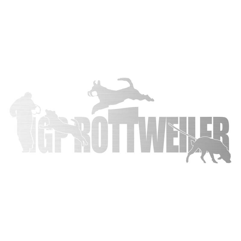 Auto Aufkleber IGP ST Schrift Rottweiler Autoaufkleber K9 Hundeanhänger ehemals IPO Hundesport Hundemotiv Silber von siviwonder