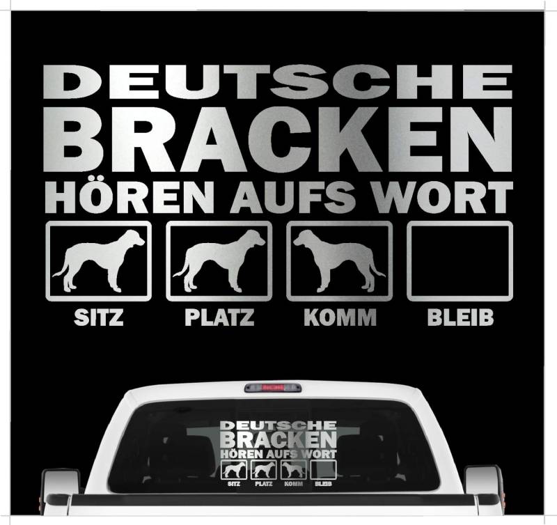 siviwonder Deutsche Bracke Olper Jagd hört aufs Wort Hunde Auto Aufkleber Autoaufkleber Hund Folie Farbe Silber Metallic, Größe 20cm von siviwonder