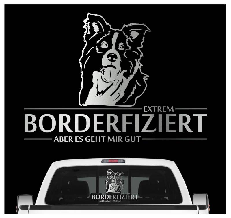 siviwonder Auto Aufkleber Border Collie Hund INFIZIERT Hundeaufkleber 30cm Silber metallic von siviwonder