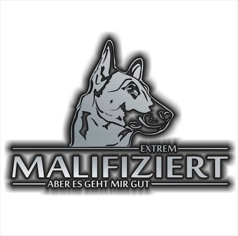 siviwonder Auto Aufkleber Malinois MALIFIZIERT Hund INFIZIERT Hundeaufkleber 30cm Silber metallic von siviwonder