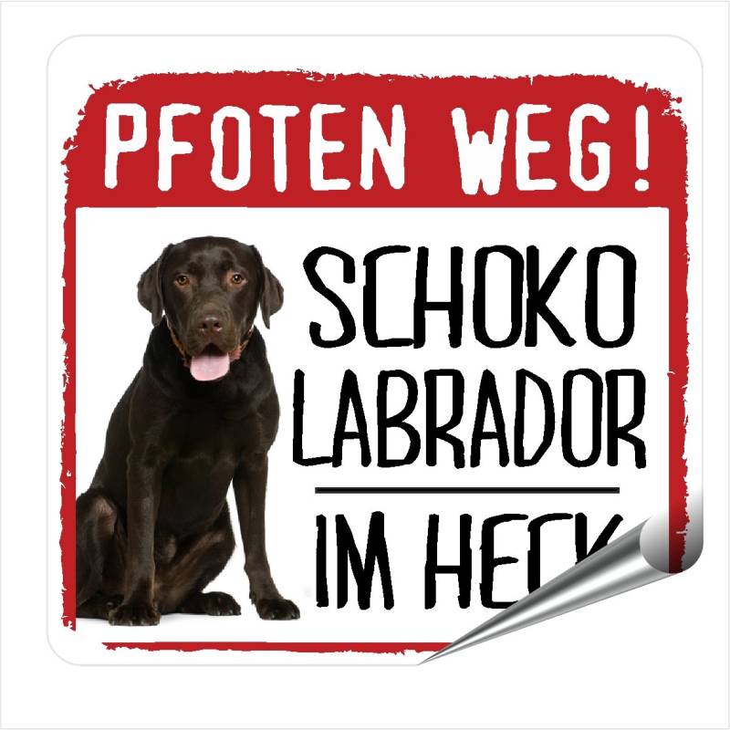 siviwonder Auto Aufkleber Schoko Labrador Pfoten Weg Hundeaufkleber REFLEKTIEREND Reflective von siviwonder