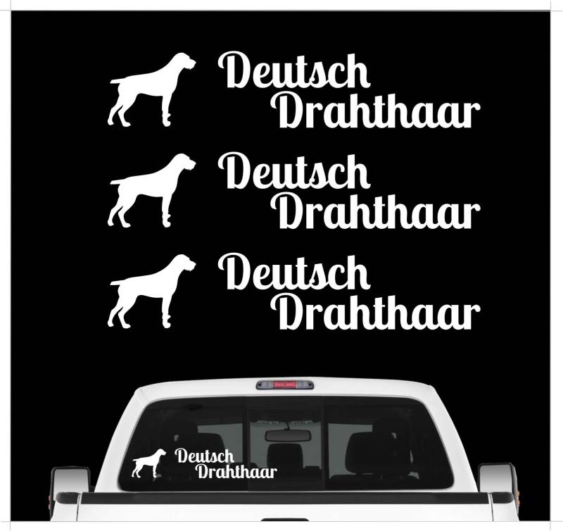 siviwonder Deutsch Drahthaar DD Pointer - 3er Set Auto Aufkleber Autoaufkleber Hundemotiv Hundeaufkleber autoaufkleber Hund Folie Aufkleber weiß von siviwonder