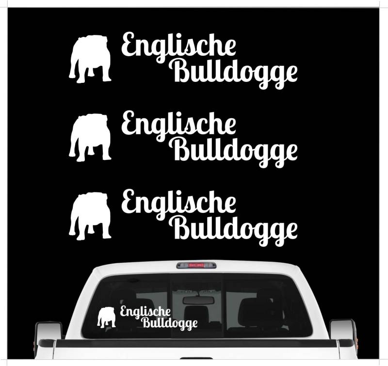 siviwonder Englische Bulldogge Bully - 3er Set Auto Aufkleber Autoaufkleber Hundemotiv Hundeaufkleber autoaufkleber Hund Folie Aufkleber weiß von siviwonder