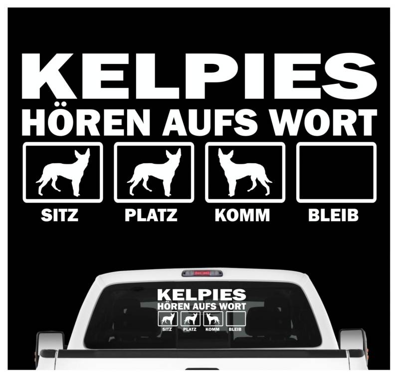 siviwonder Kelpie Australian Barb hört aufs Wort Hunde Auto Aufkleber Autoaufkleber Hund Folie Farbe Weiß, Größe 20cm von siviwonder