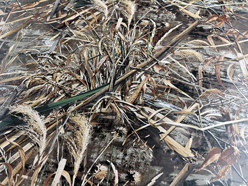 3D Realtree Camouflage Folie Matt Version 4,Car Wrapping Gras, Schilf,Tarnfolie 0,5m x 1,52m von speedwerk-motorwear