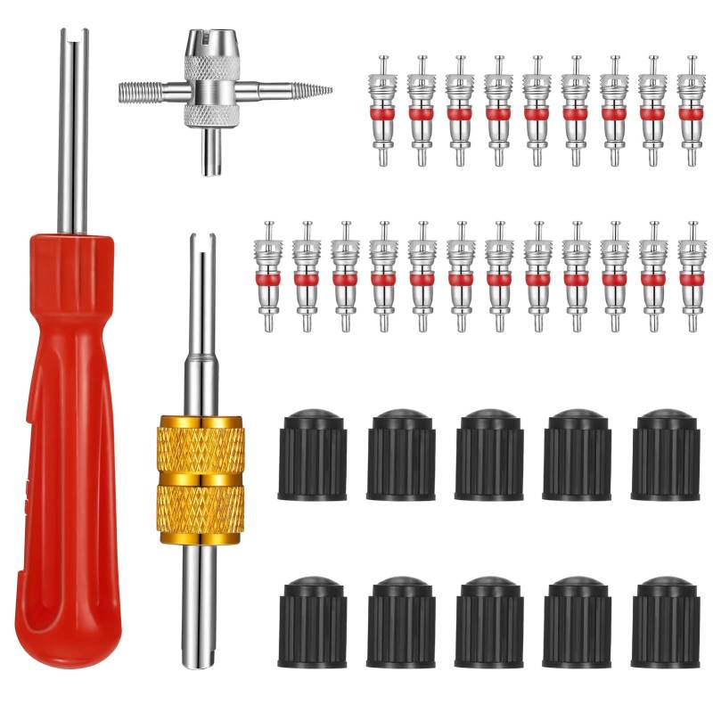 tonyg-p Reifenventilentferner Ventil Reparatur mit Doppel und Einzelkopf Ventilkern, 1 Stück 4 Wege Ventilkernwerkzeug, 10 Stück Reifenventilkappen, 20 Stück Ventilkern (Silber) von tonyg-p