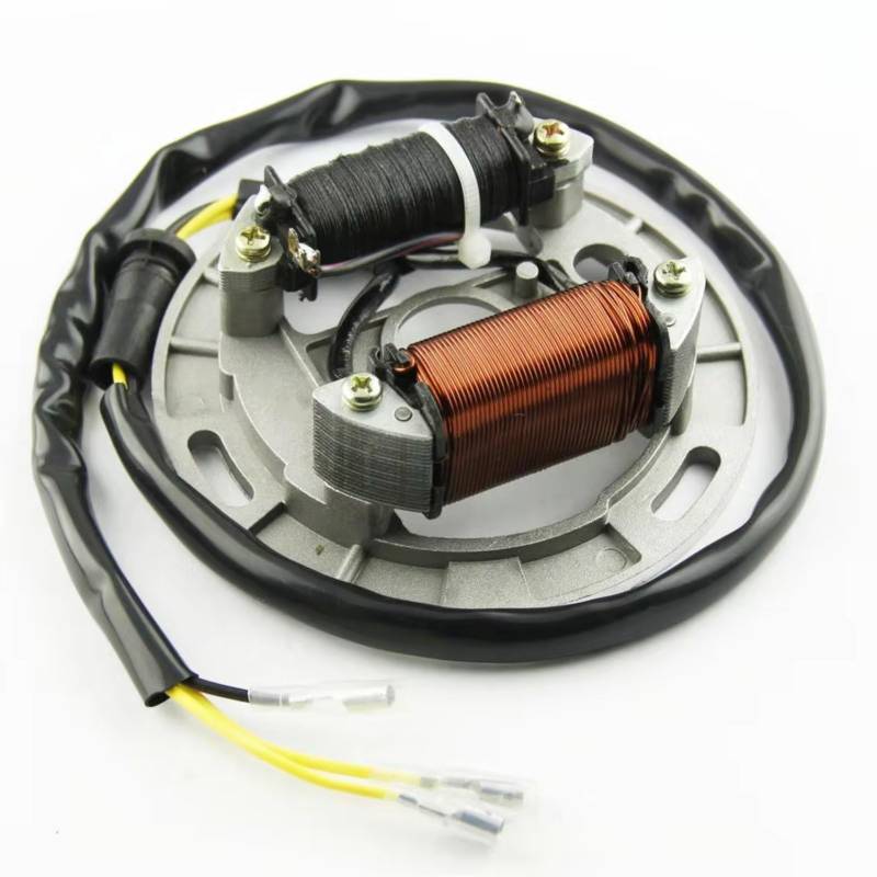 yongewu Kompatibel Mit Suzuki Für LT80 Für Quadsport 1987 1988 1989 1990 1991 1992 1993 1994 1995 1996 Motorrad Zündung Magneto Stator Spule Motorrad Stator Spule von yongewu