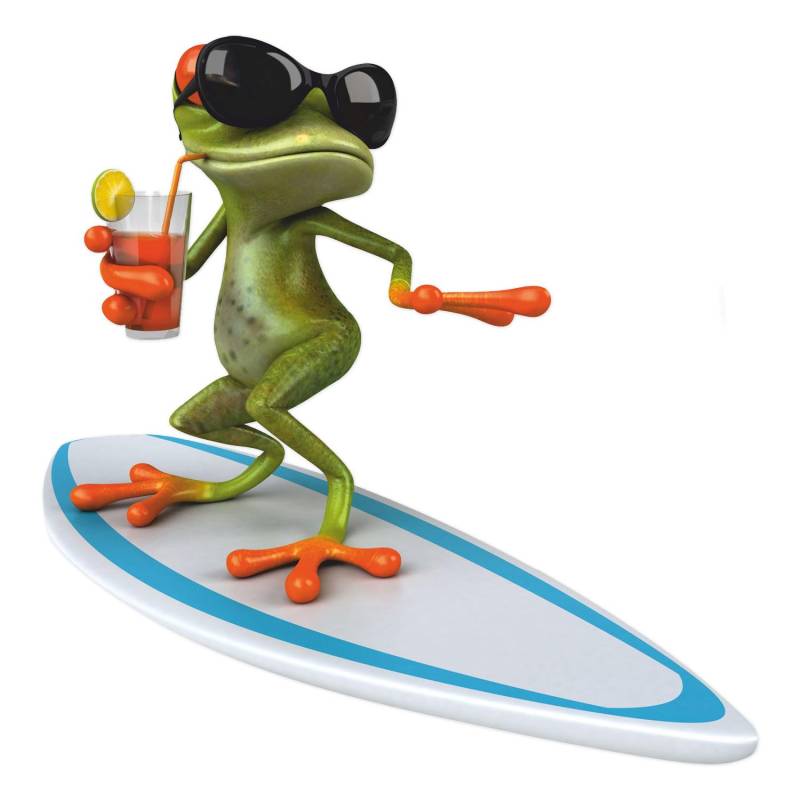 Sticker Surfer Frosch I 30 x 29 cm I für Koffer Badezimmer Duschwand Wohnmobil als Auto-Aufkleber I lustig cool wetterfest I kfz_528 von younikat